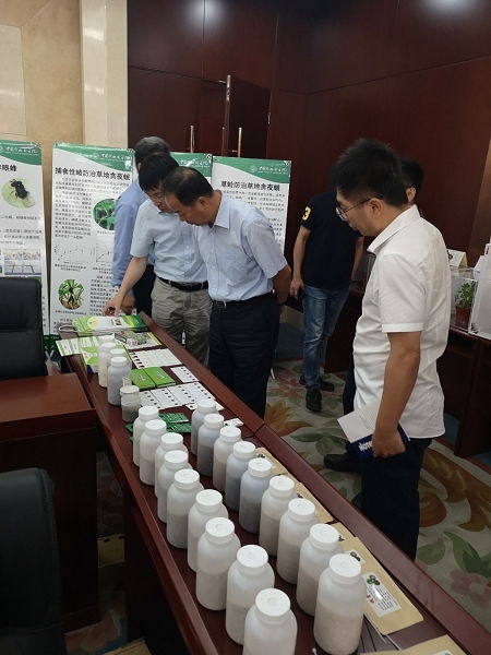 天敌昆虫防控技术研发项目通过中期检查，网络技术赋能绿色农业发展